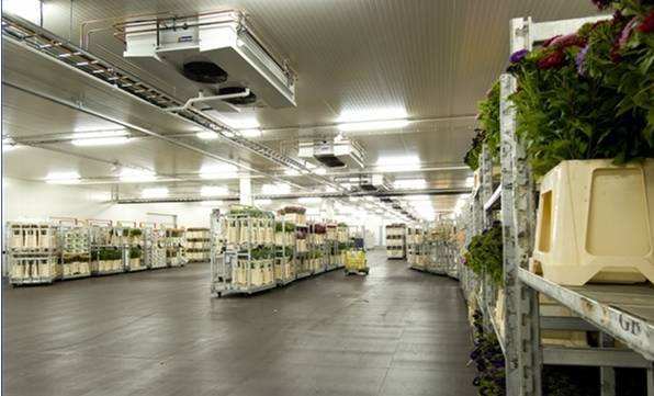 寧波建冷庫(kù)多少錢(qián)一立方？每立方能存多少貨物